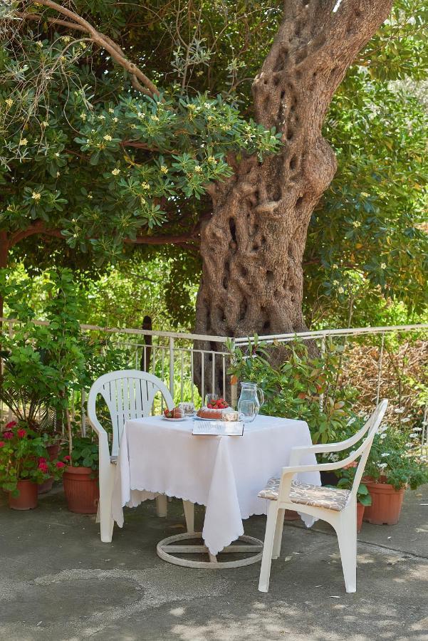Apartmani Kuca U Maslinama Sveti Stefan Luaran gambar