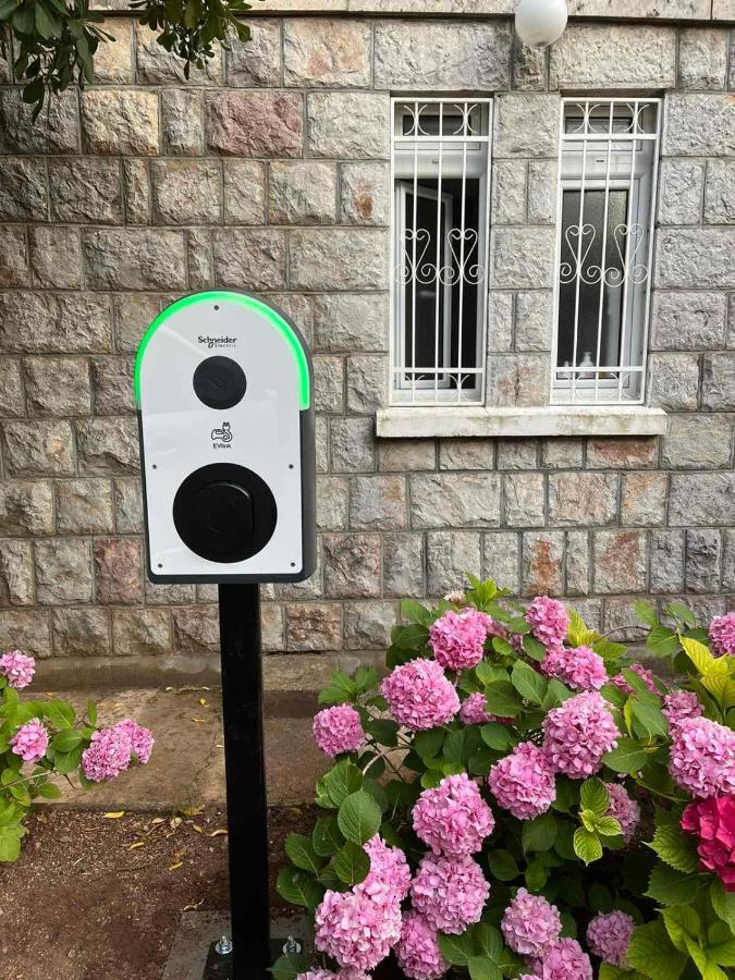 Apartmani Kuca U Maslinama Sveti Stefan Luaran gambar